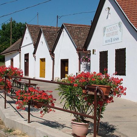 Hotel Blum Pince - Borozo Vendeghaz Villány Zewnętrze zdjęcie