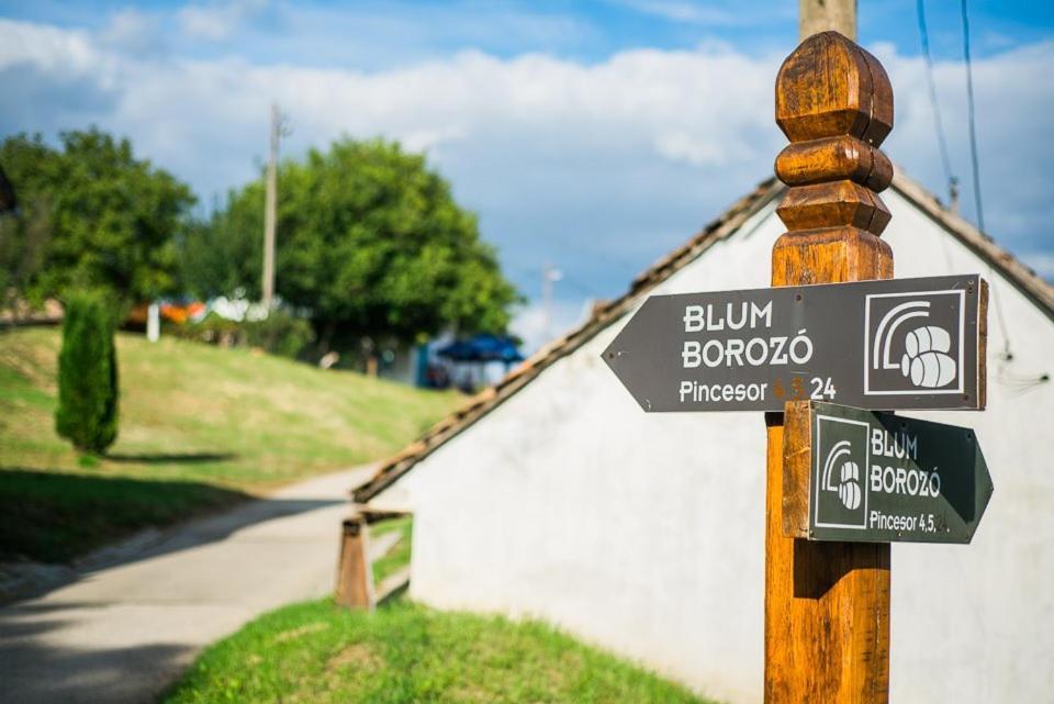 Hotel Blum Pince - Borozo Vendeghaz Villány Zewnętrze zdjęcie